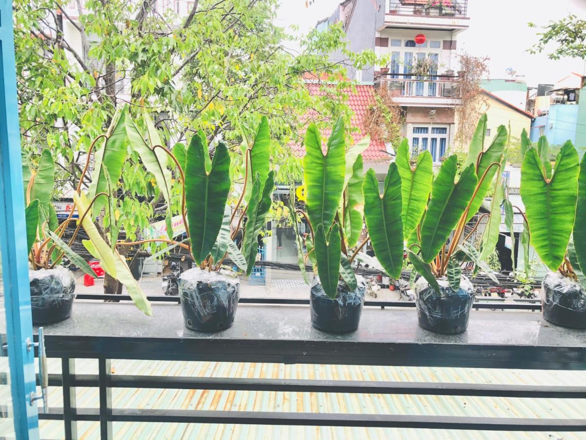 An'S Family Homestay Hoi An - 5Mins Walk To Hoi An Ancient Town Dış mekan fotoğraf
